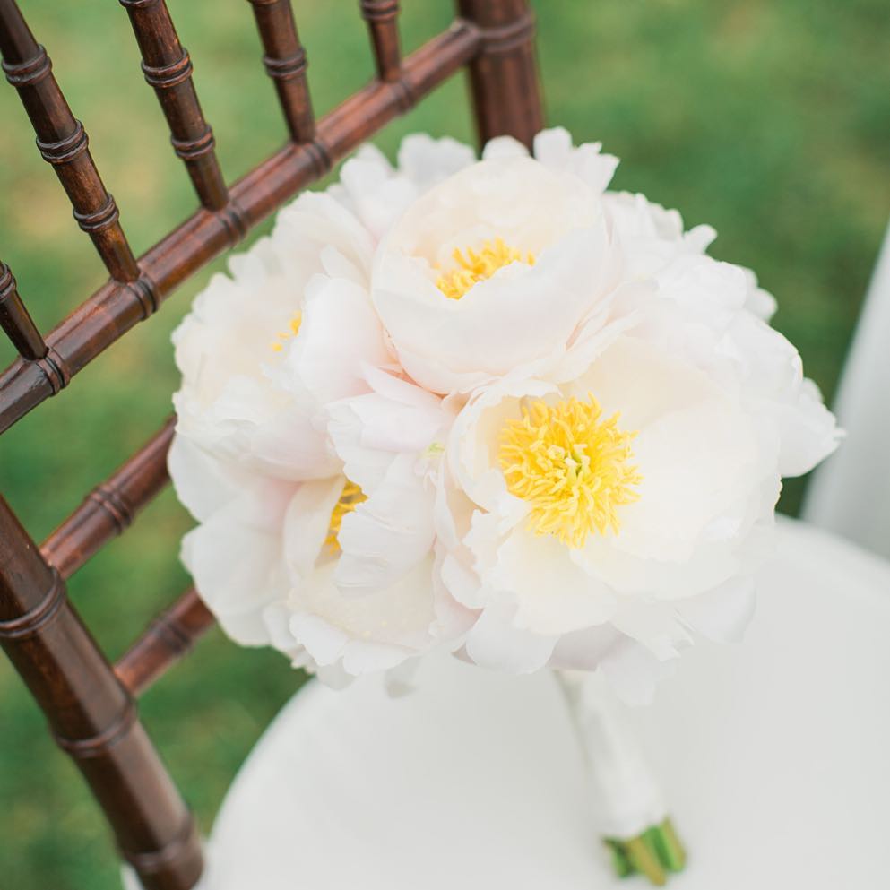 {blushing}
@monpetitstudio 
#blush #peonies #bouquet #lovely #simple #romantic #theknot #lotusfloraldesigns