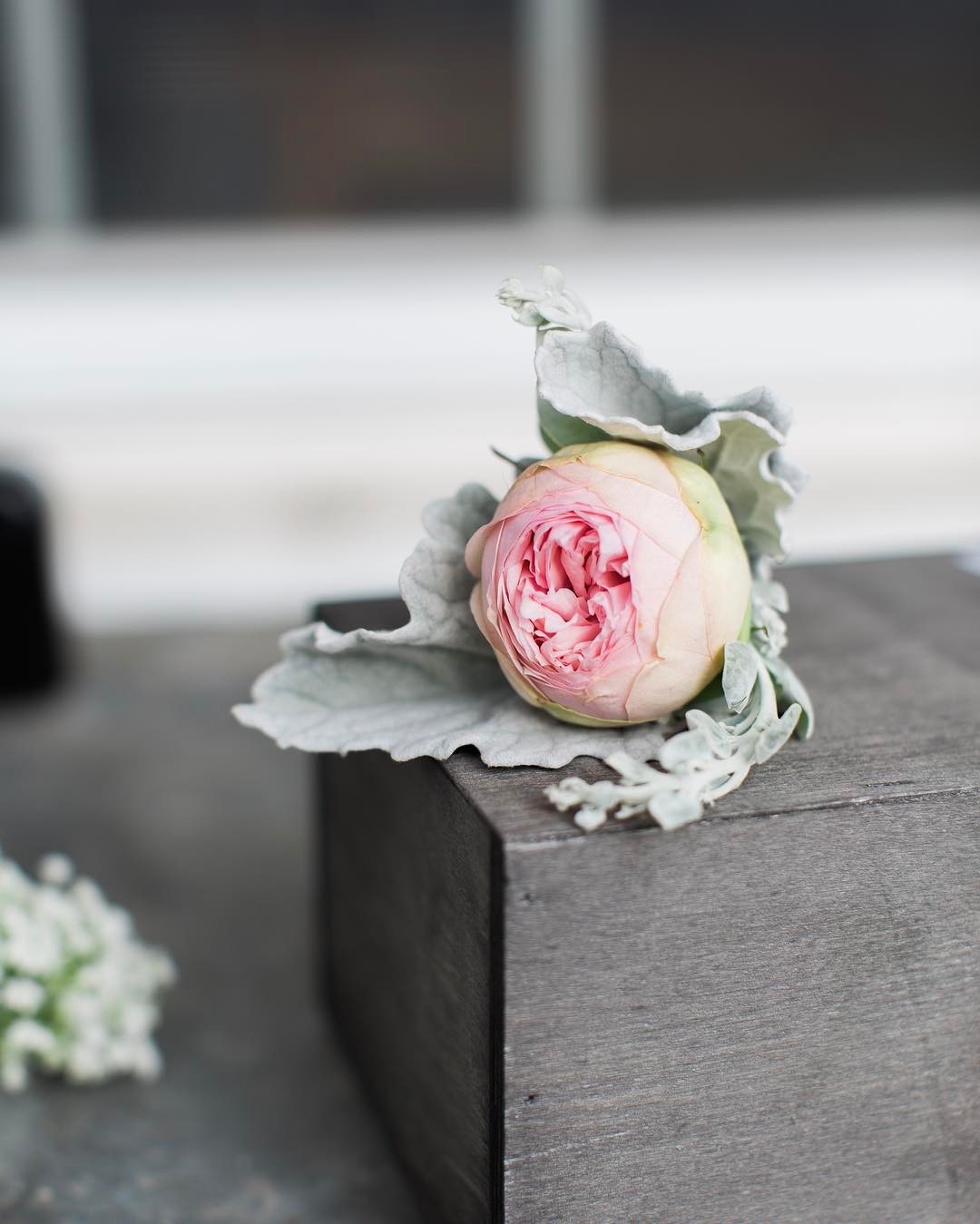 {for him}
photo | @jharperphoto 
#boutonniere #manflower #simple #pink #dusty