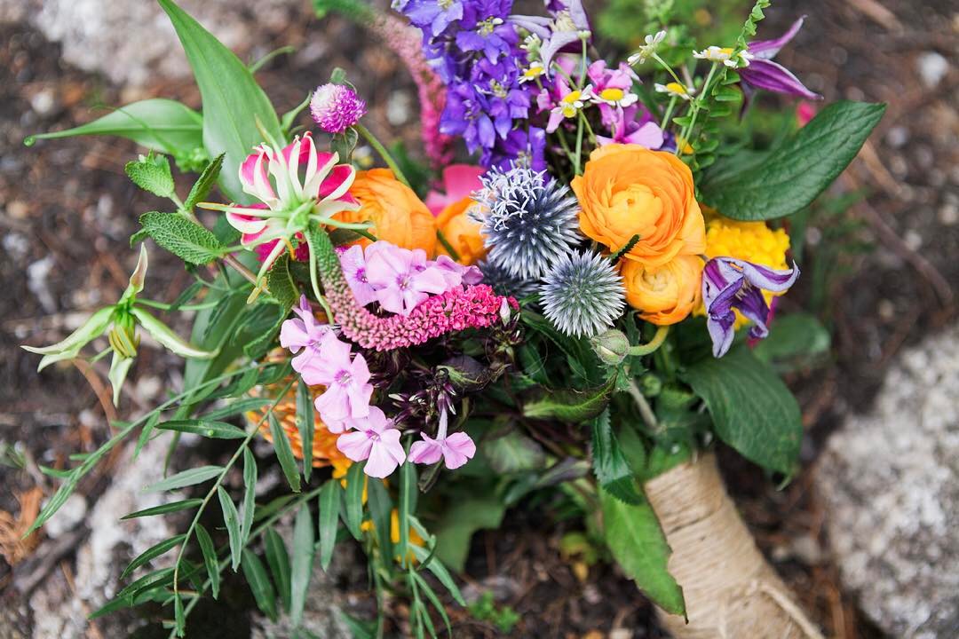 {wildflowers}
photo | @monpetitstudio 
#wildflowerbouquet #prettyflowers #accessory #loveliness #natural #bouquet #forher #lotusfloraldesigns #weddingflorist